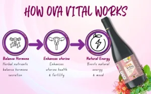 Hormonal and Fertility Support Product with Key Benefits