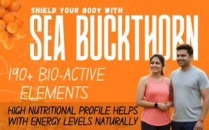 Fresh Sea Buckthorn Berries Rich in Vitamin C and Omega 7