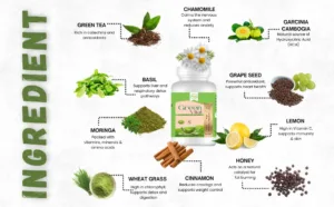 Hot Cup of Green Tea for Metabolism Boost & Immunity