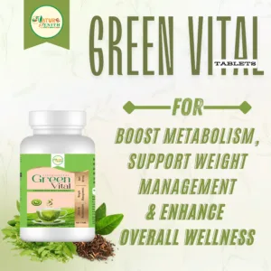 Green Vital Green Tea Sachets Loose Leaves Image – Nature Zenith